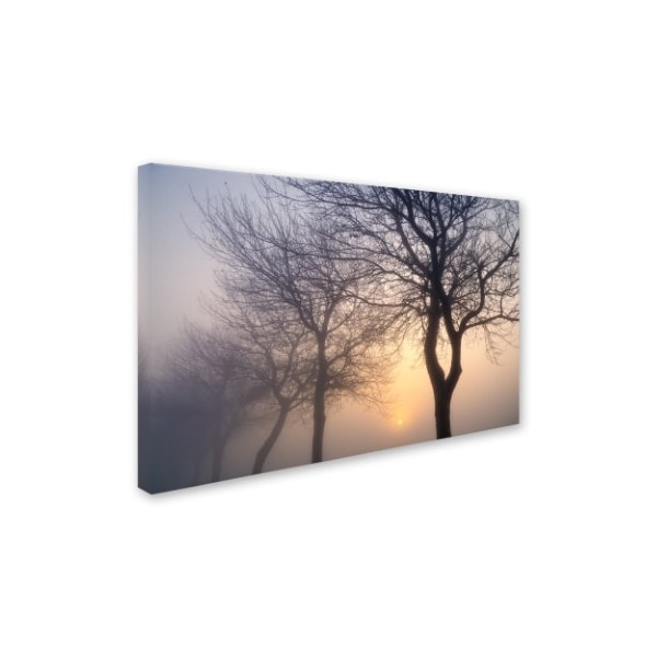 Cora Niele 'Hazy Sunrise With Tree Tree Silhouettes' Canvas Art,16x24